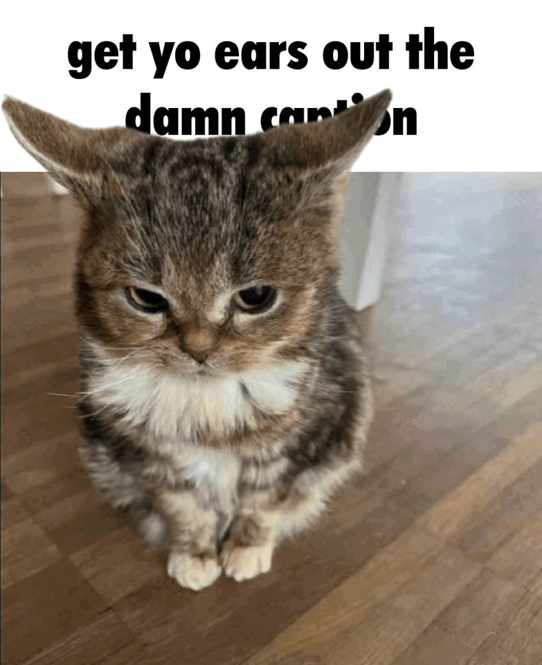 User submitted image
