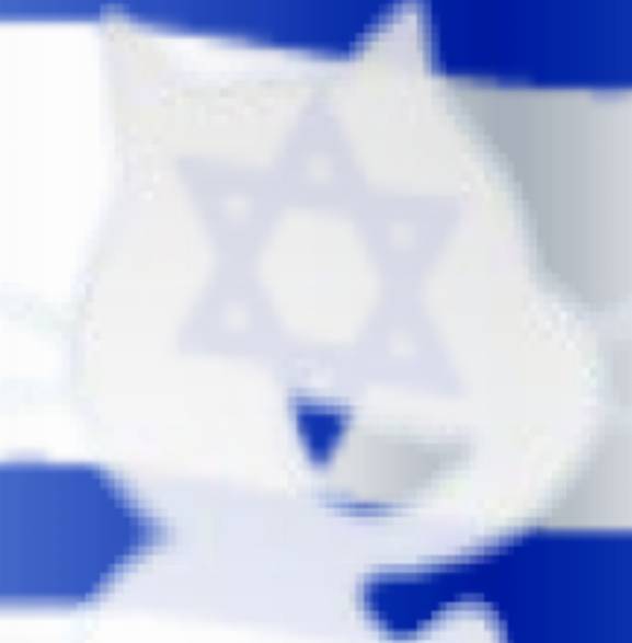User icon