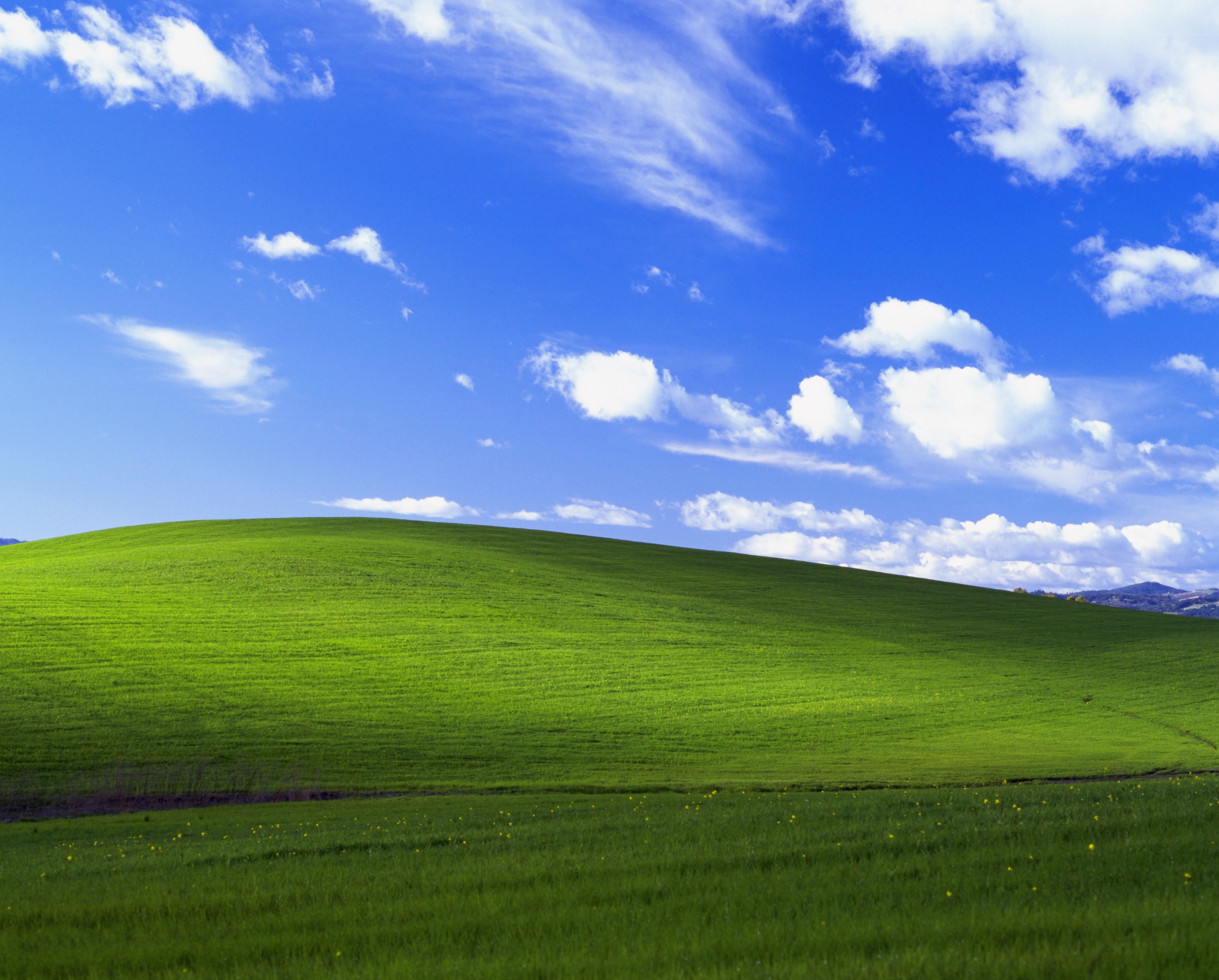 User submitted image