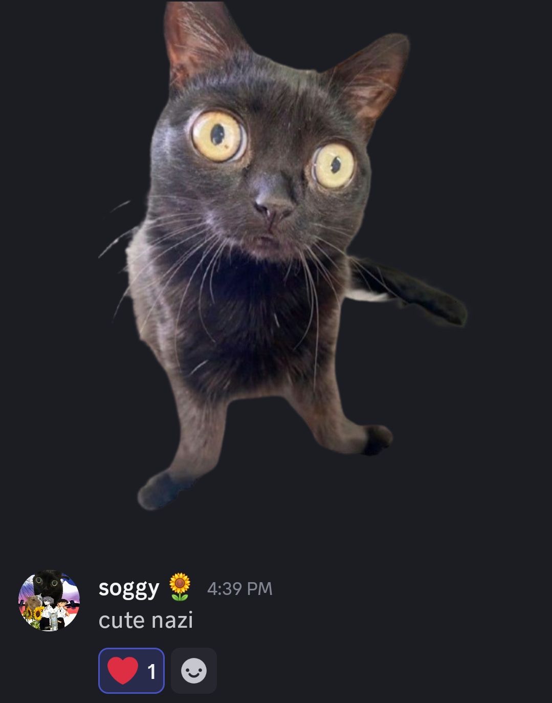 User submitted image