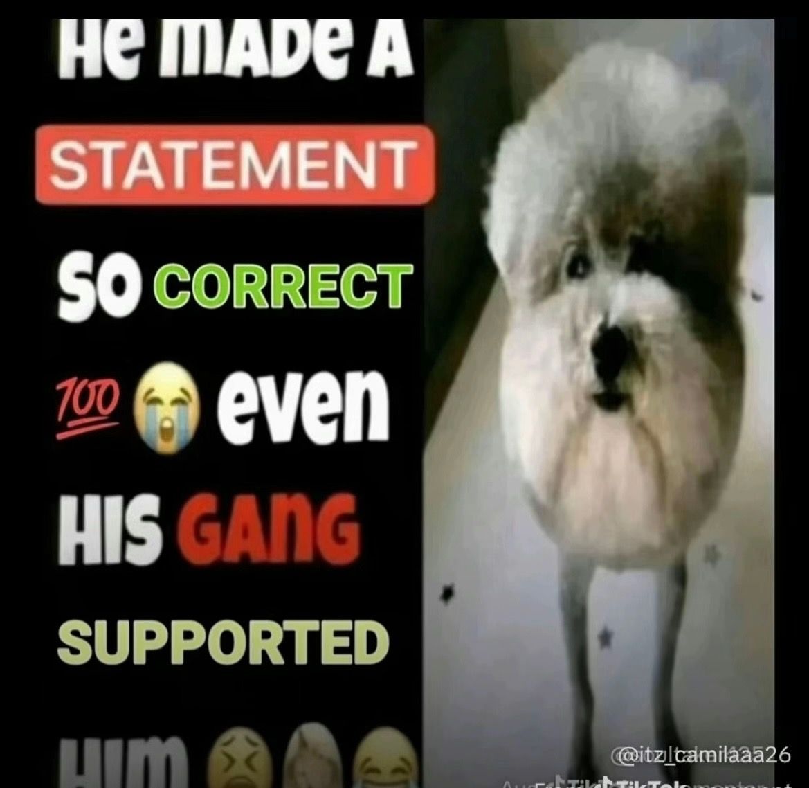 User submitted image
