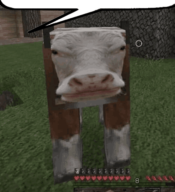 User submitted image