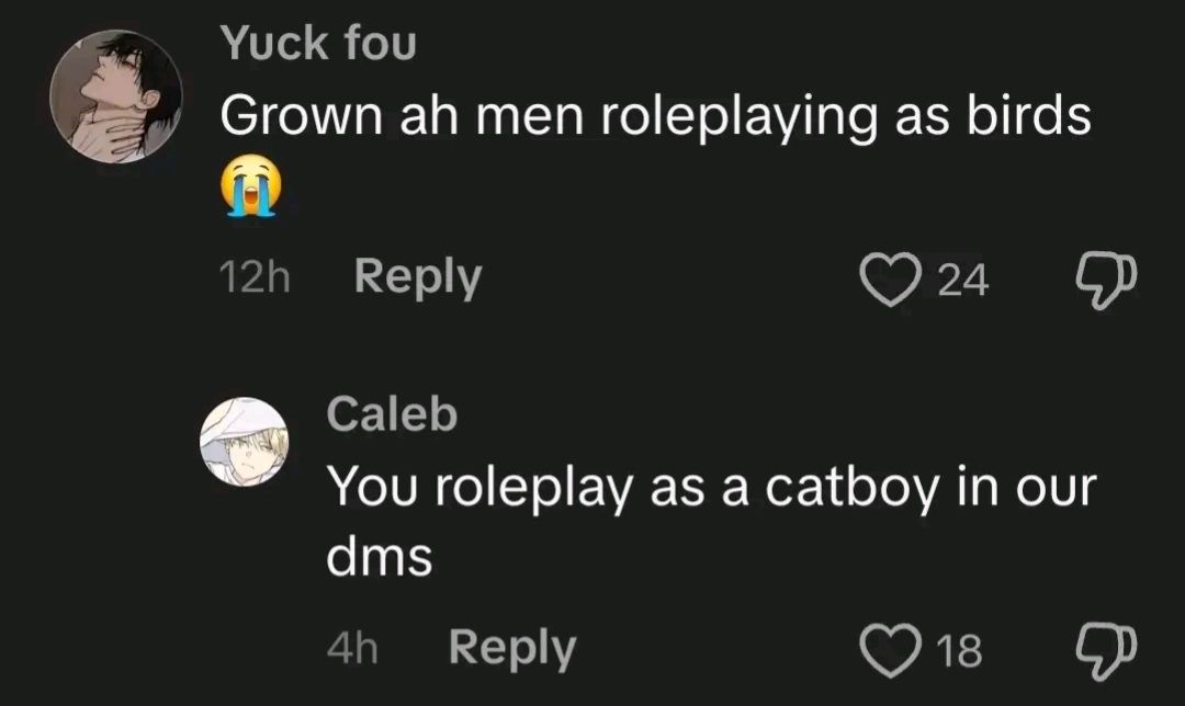 User submitted image