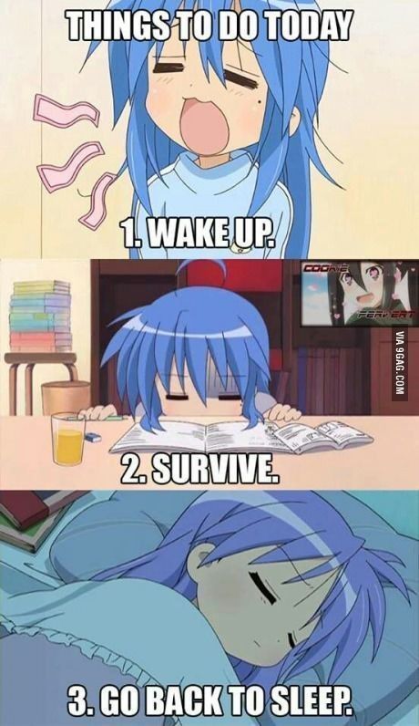 User submitted image