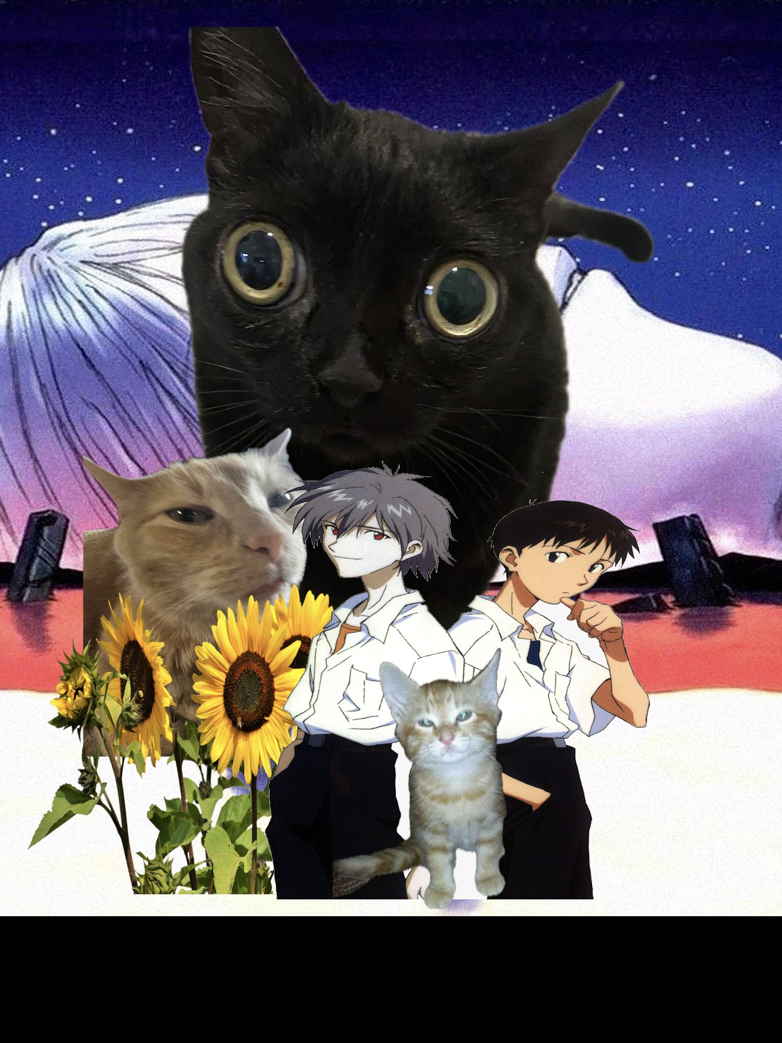 User submitted image