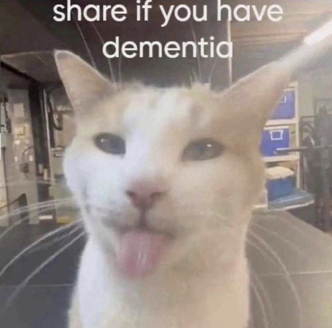 User submitted image