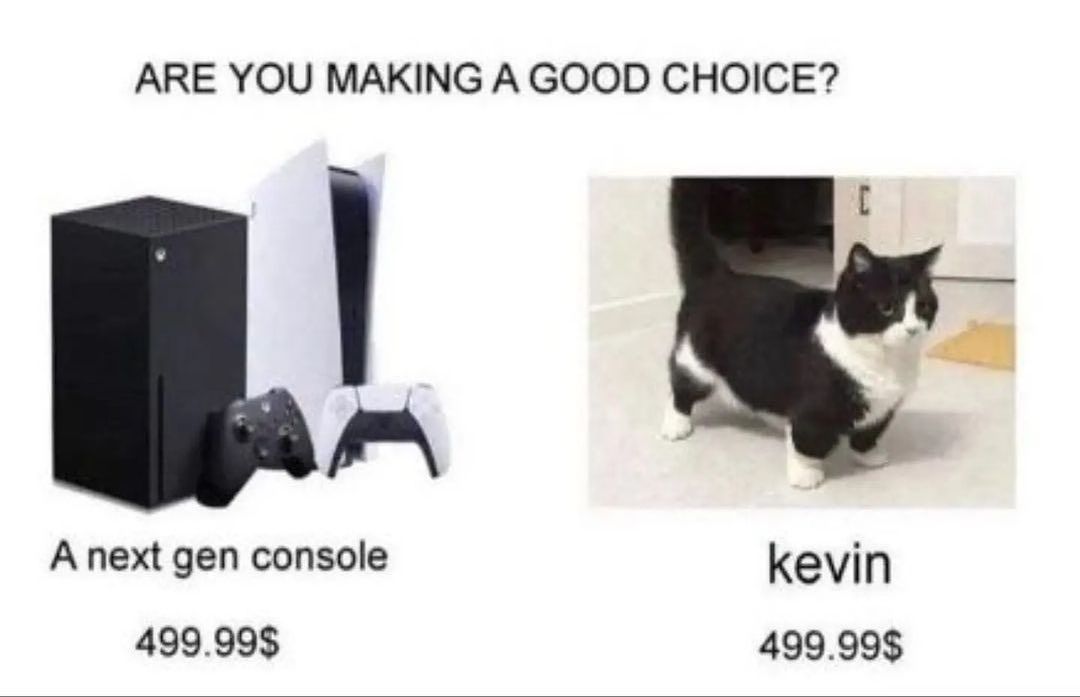 User submitted image