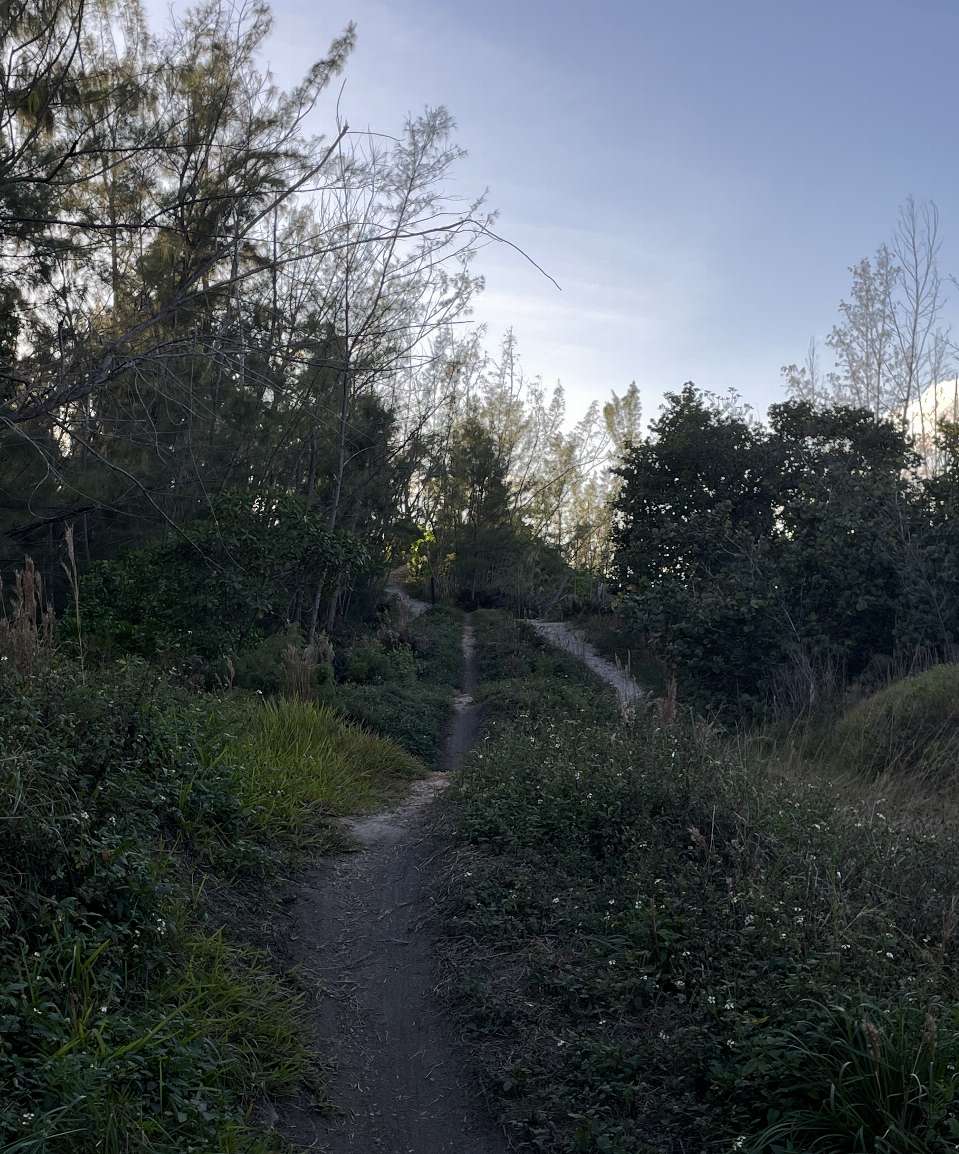 User banner
