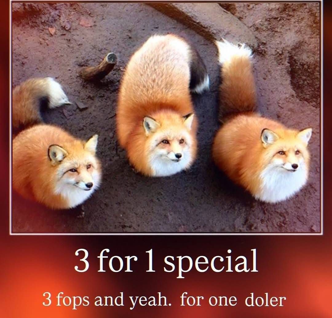 User submitted image