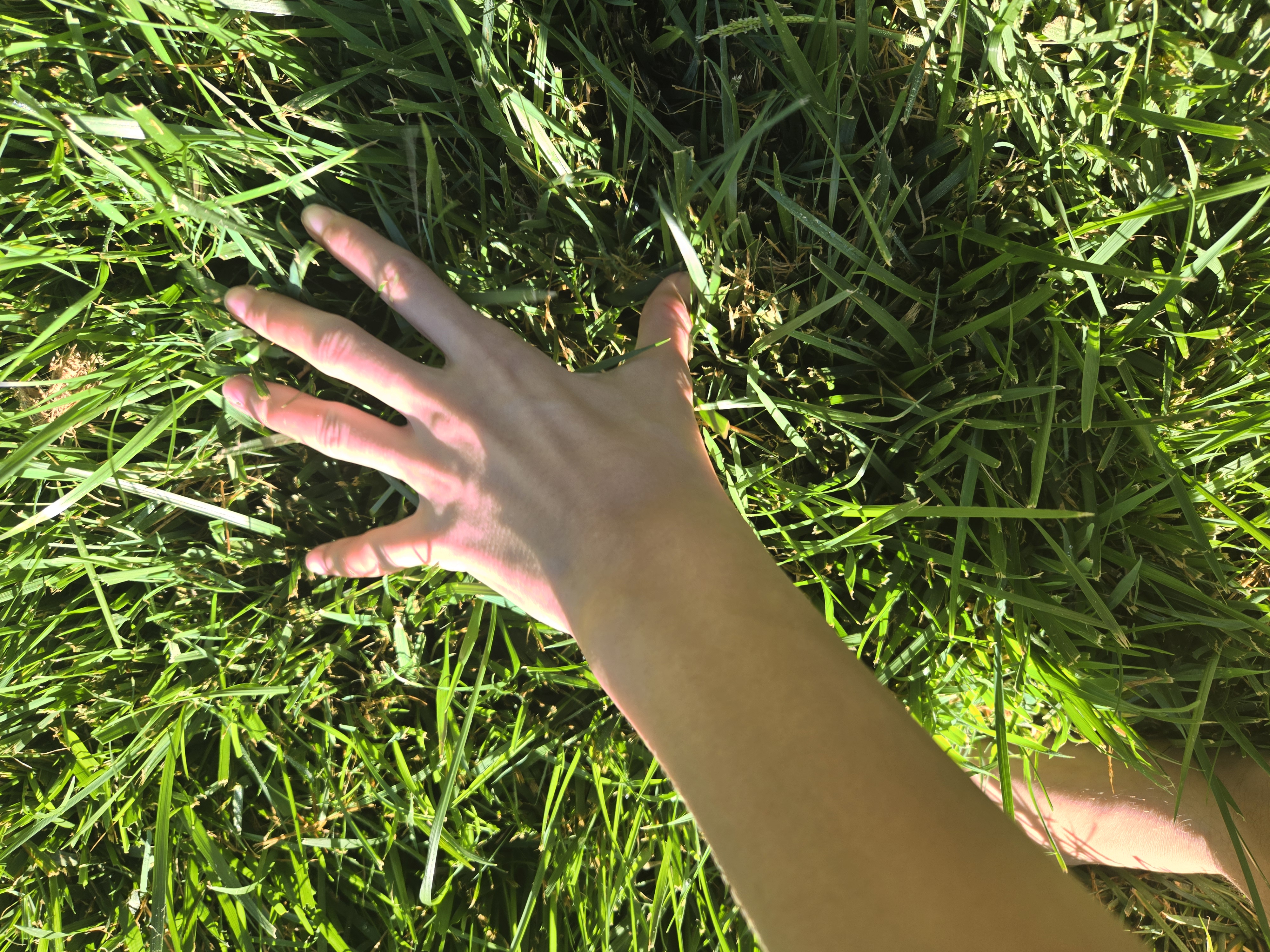 User banner