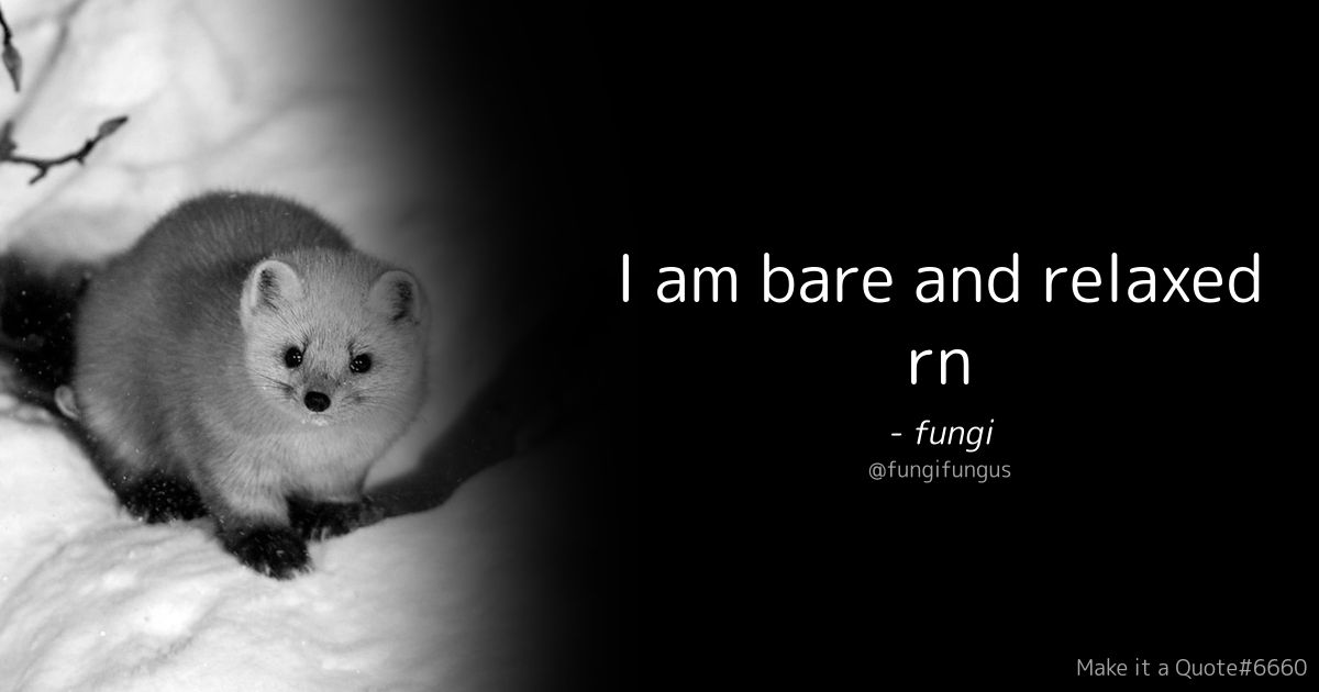 User submitted image
