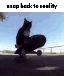 User submitted image