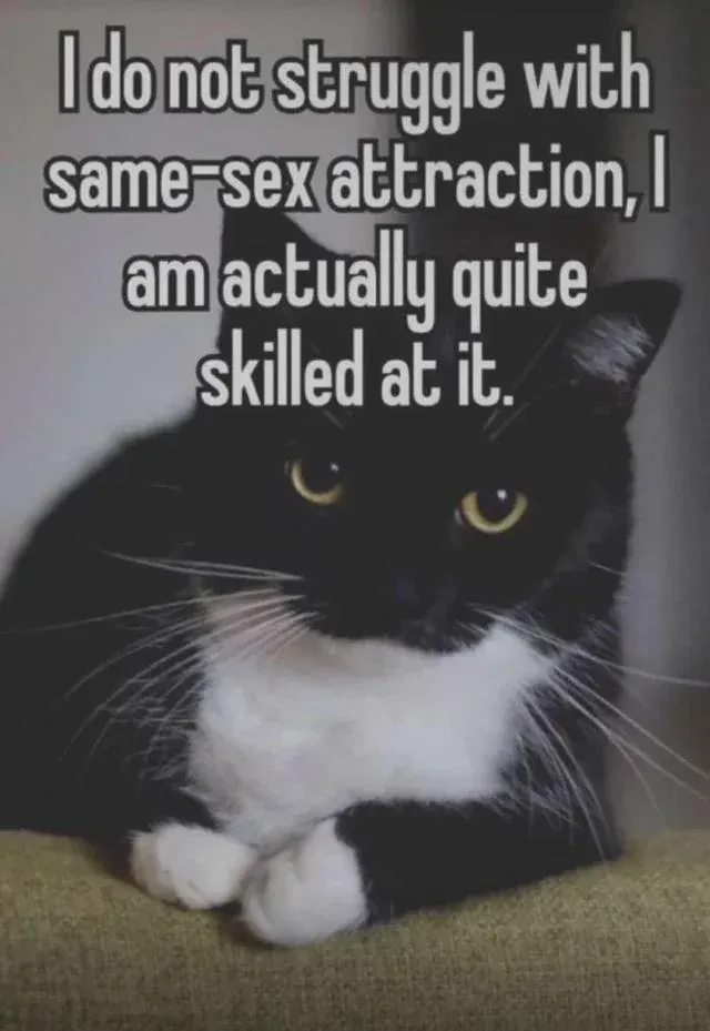 User submitted image