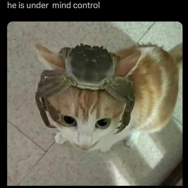 User submitted image