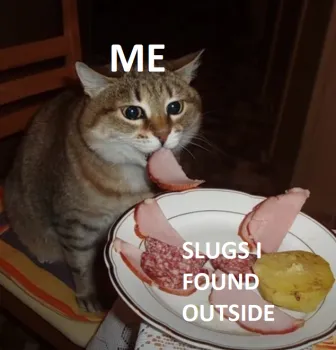 User submitted image