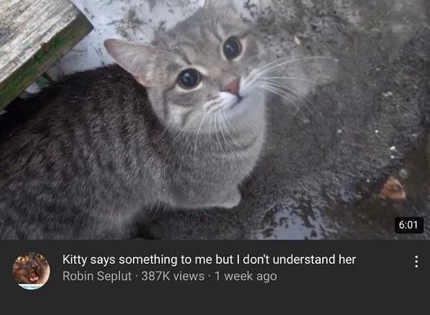 User submitted image