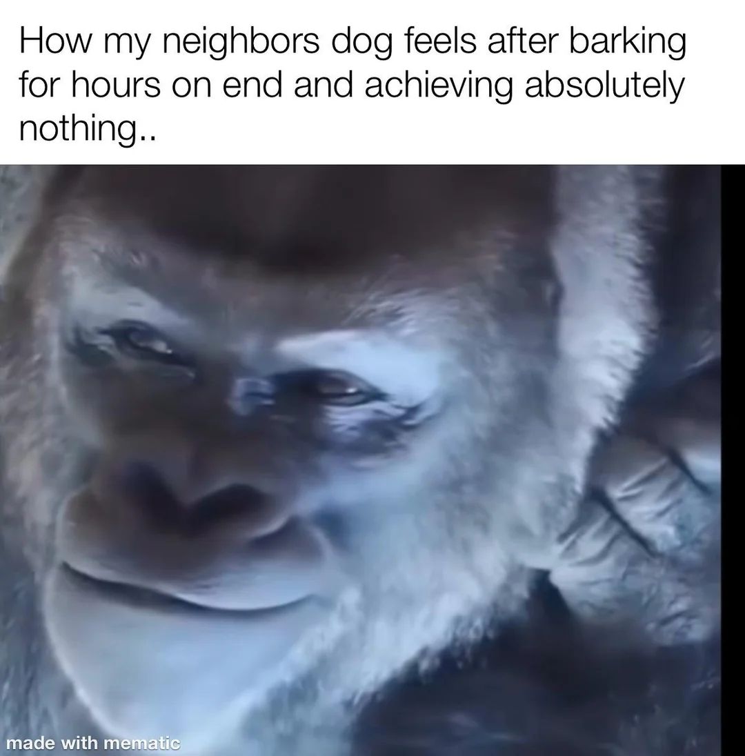User submitted image