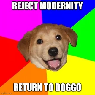 User submitted image