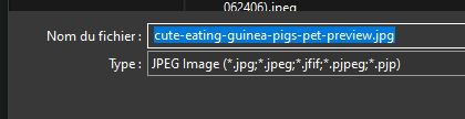 User submitted image