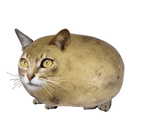 User submitted image