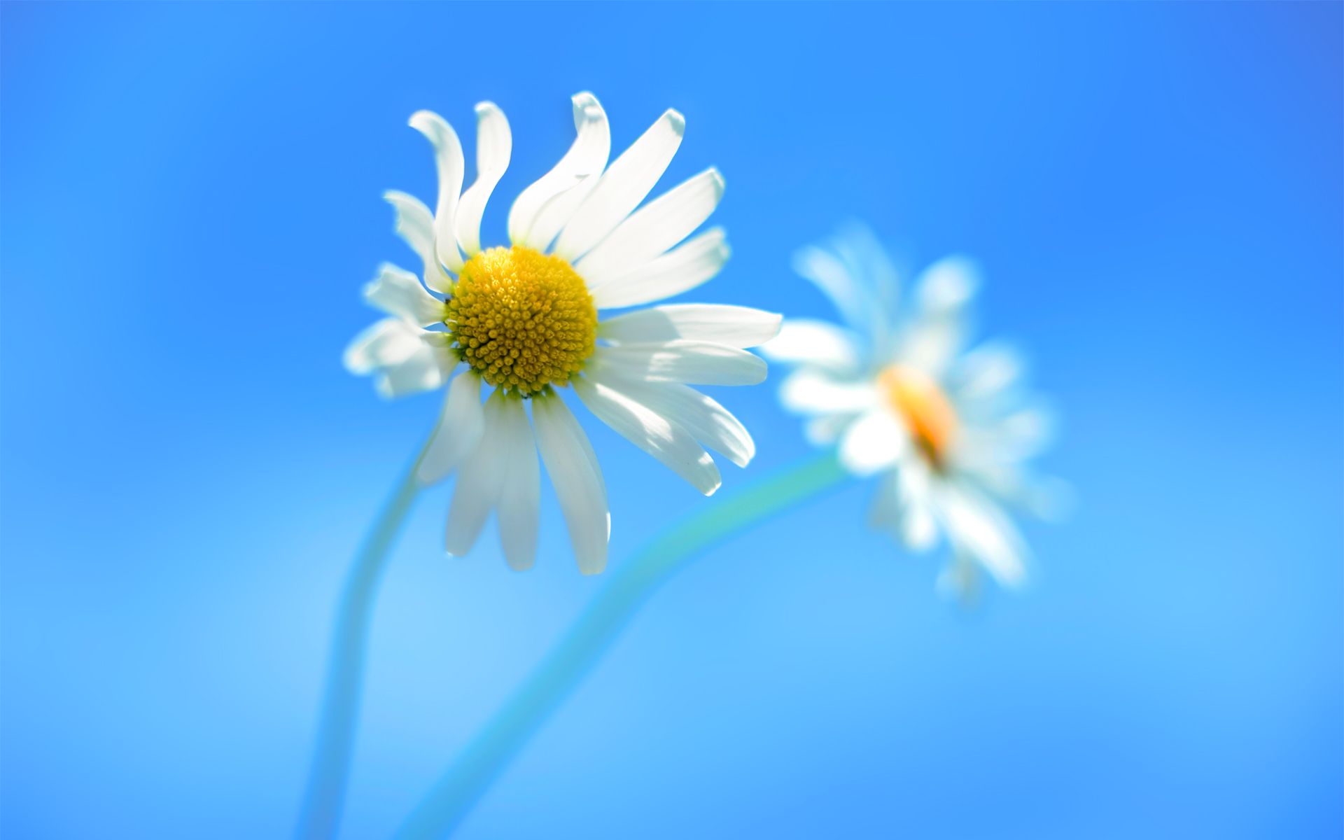 User banner
