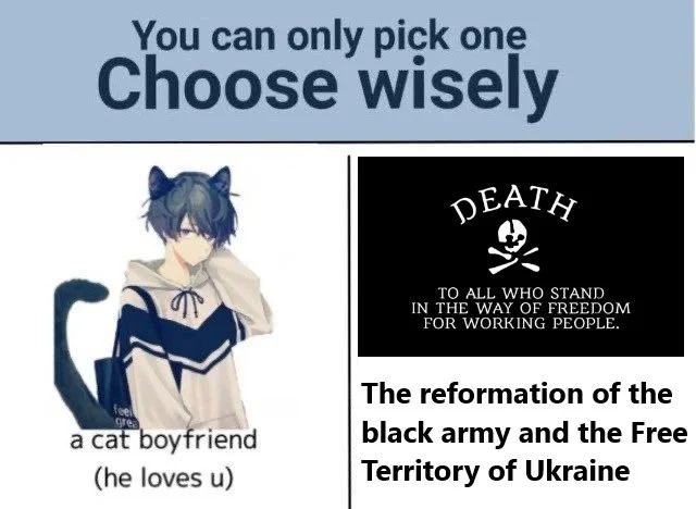 User submitted image