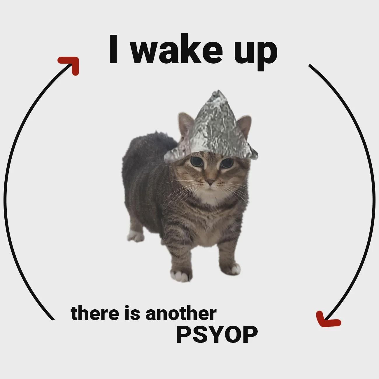 User submitted image