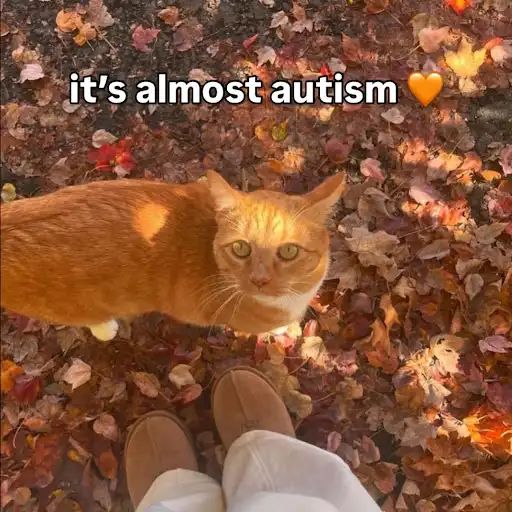 User submitted image
