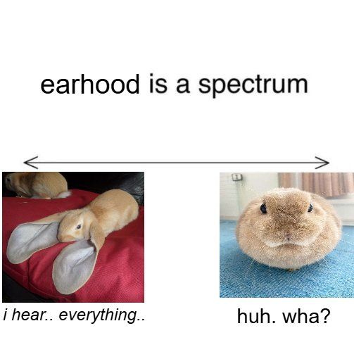 User submitted image