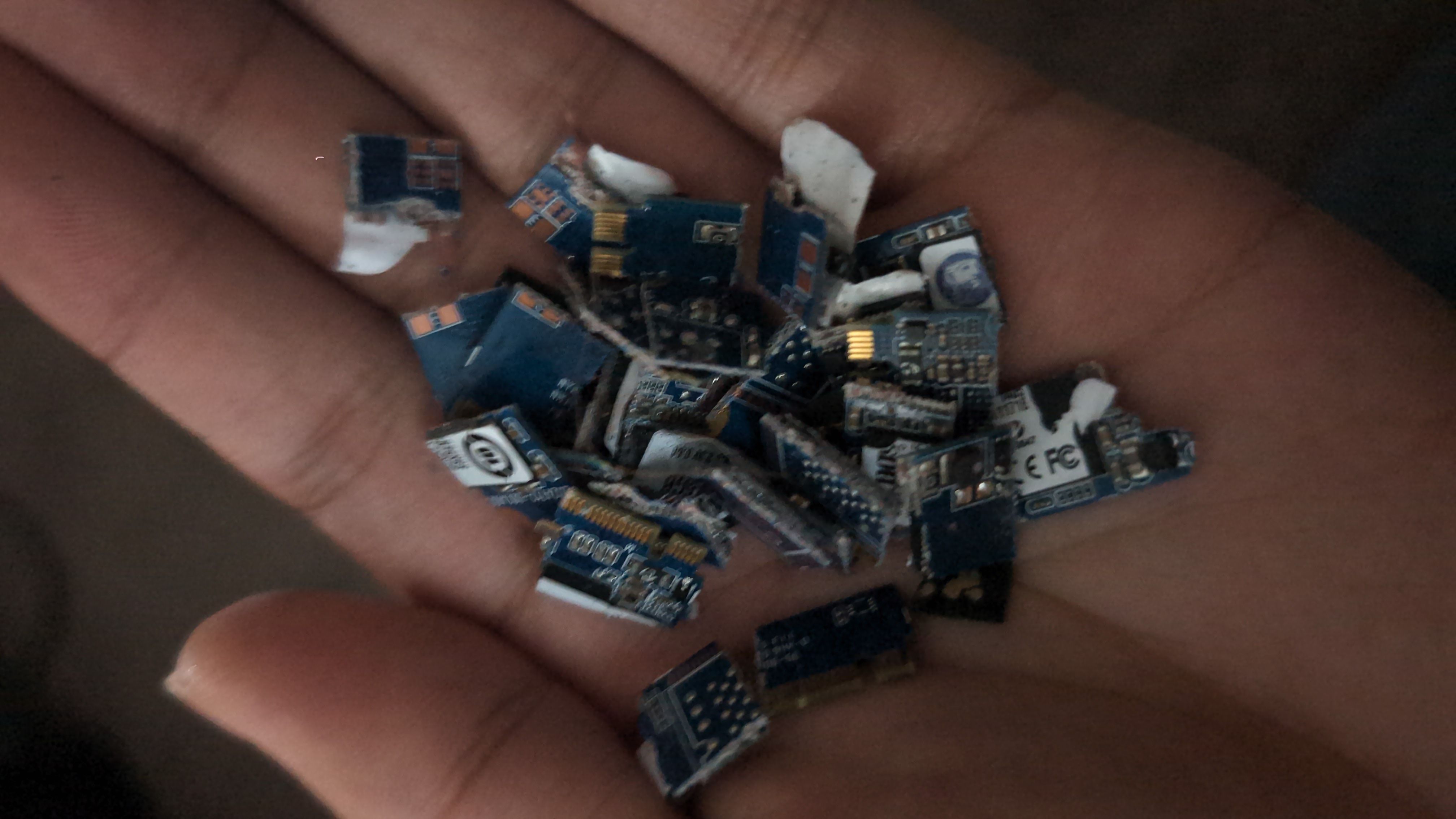 User submitted image