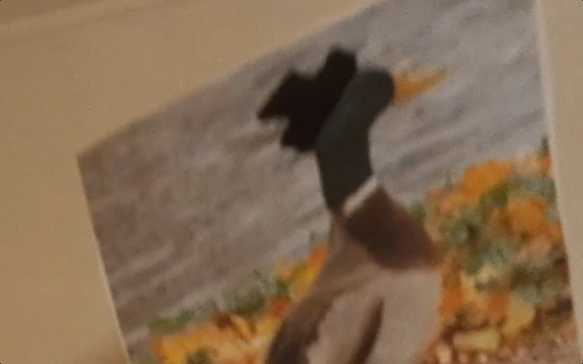 User banner