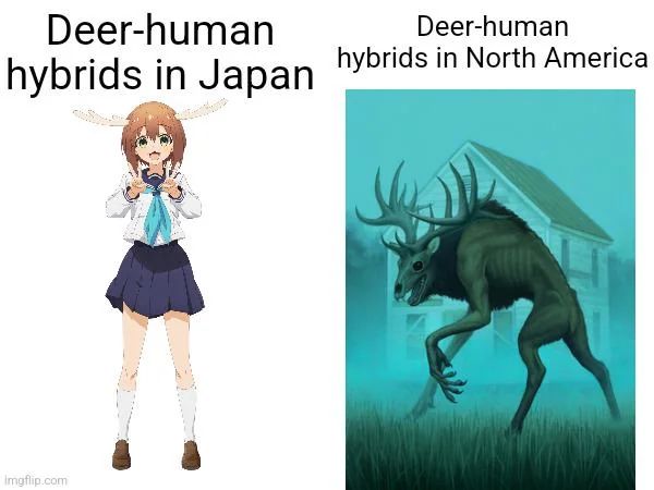 User submitted image
