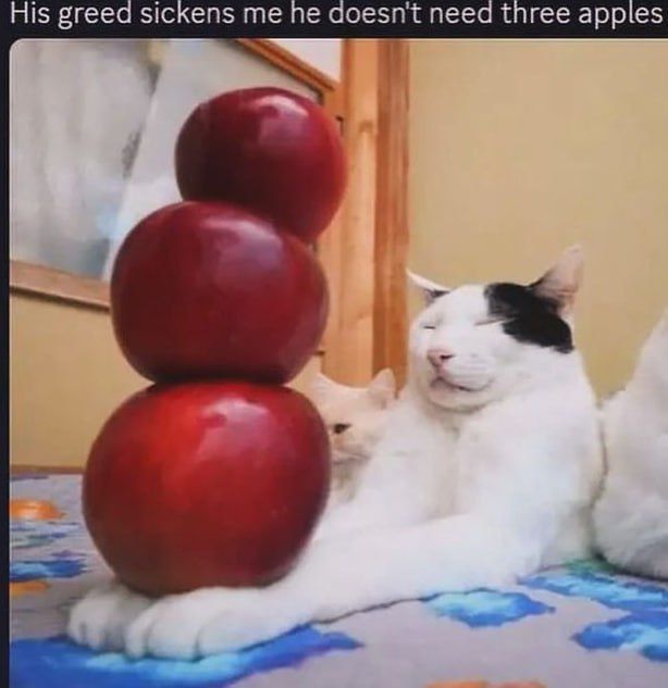 User submitted image