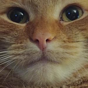 User submitted image