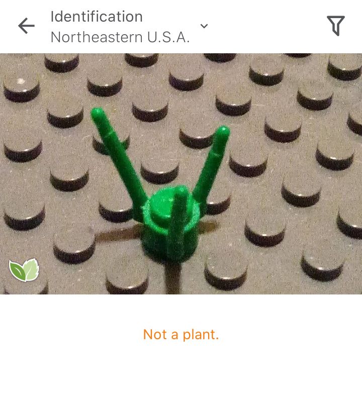 User submitted image