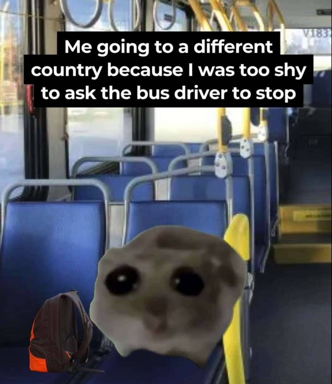 User submitted image