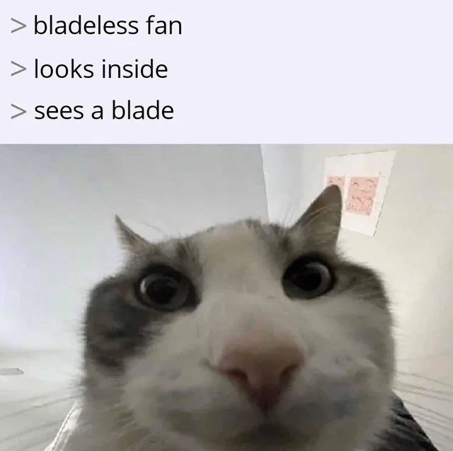 User submitted image