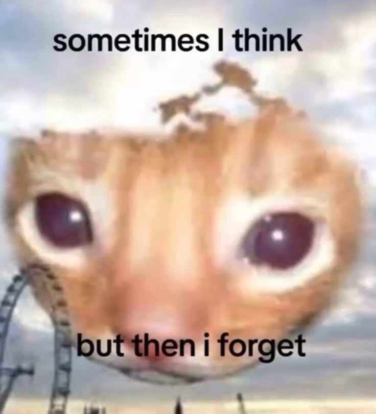 User submitted image