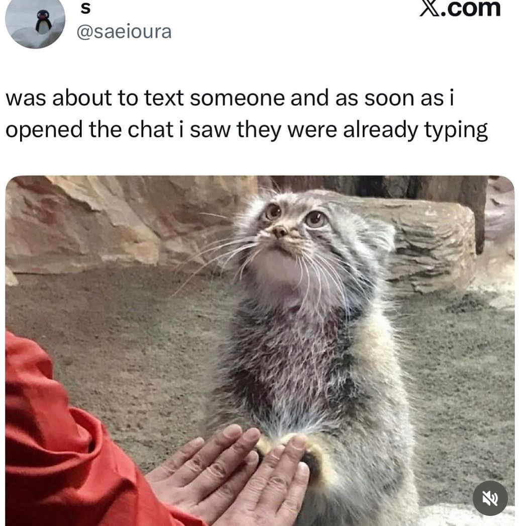 User submitted image