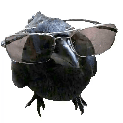 User submitted image
