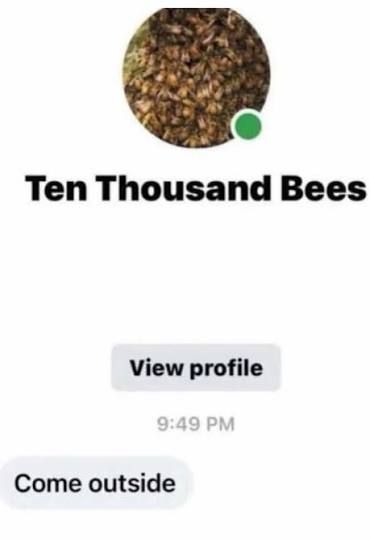 User submitted image