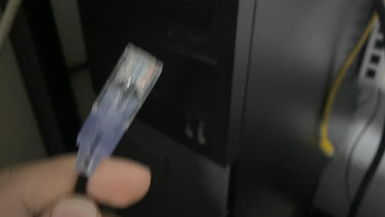 User submitted image