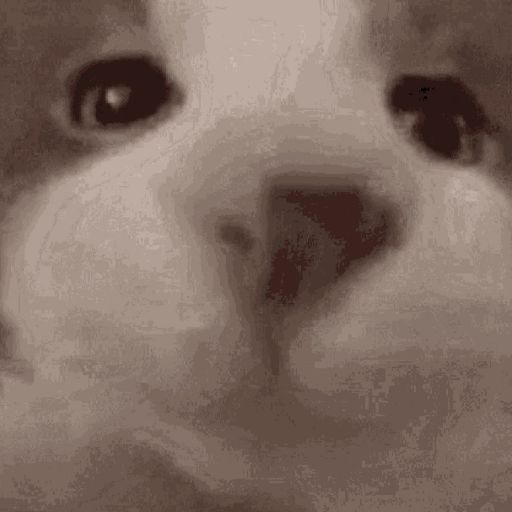 User icon