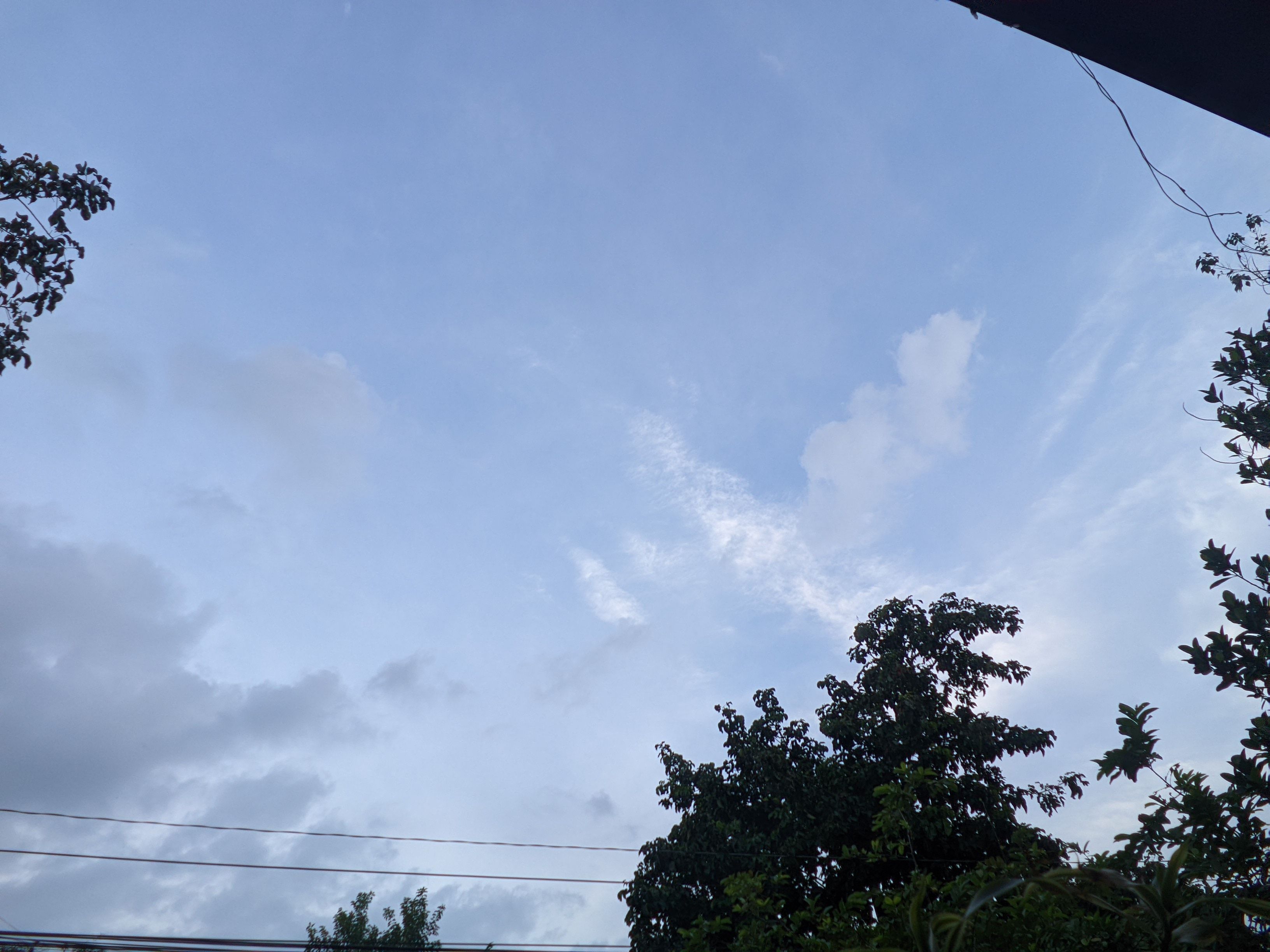 User submitted image