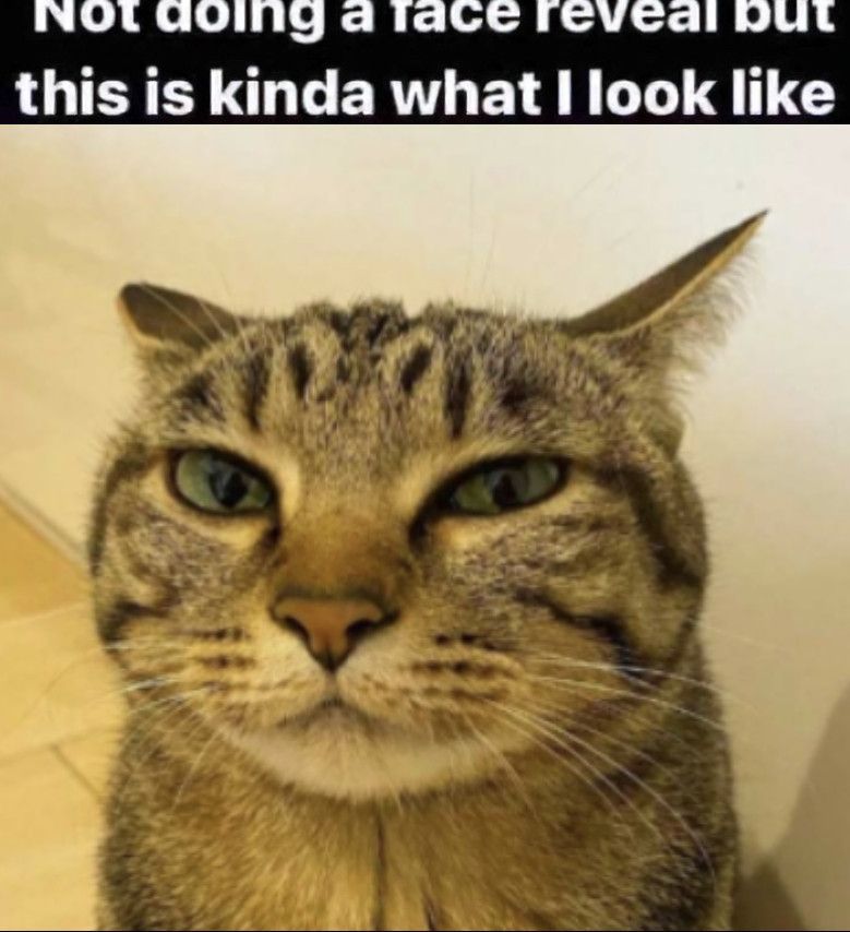 User submitted image