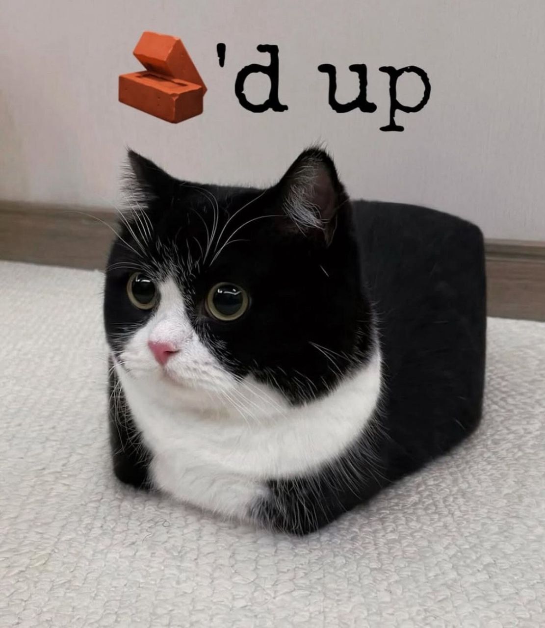 User submitted image