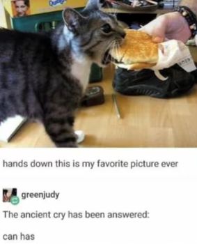 User submitted image