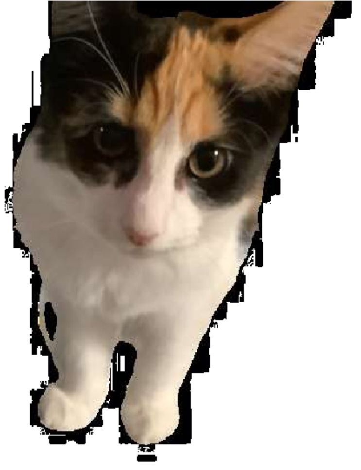 User submitted image