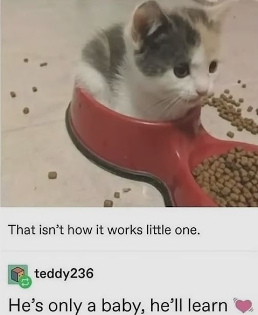 User submitted image