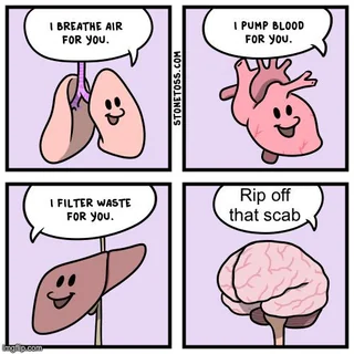 User submitted image